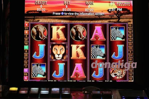 danaliga Live Game Shows at danaliga